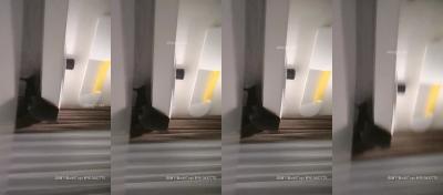 亚洲va中文字幕无码-TS抢先版在线观看完整视频大全